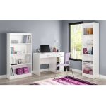 Extended Study Desk & Cabinets