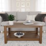 Feldt Ply Wood Coffee Table with Storage