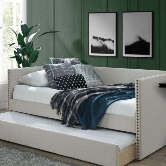 Franklin Daybed with Trundle