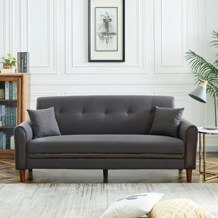 Living Room Modern Sofa with 2 Pillows